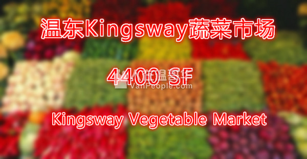 『赵信德-专业生意买卖团队』--- 溫東蔬菜市場