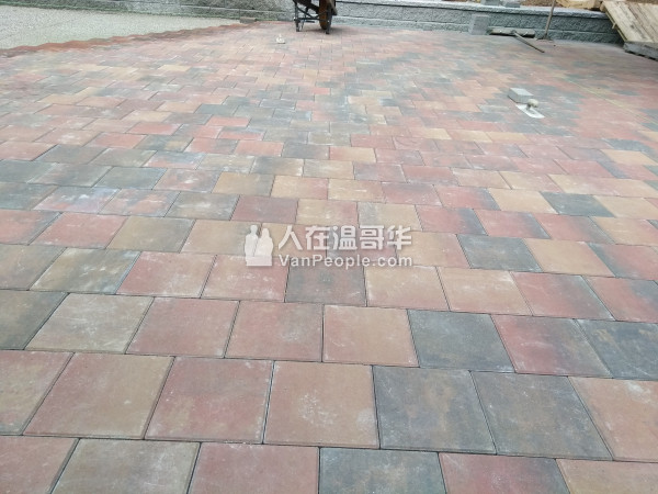 嘉美园艺 铺设各类地砖 修剪花树 专业负责