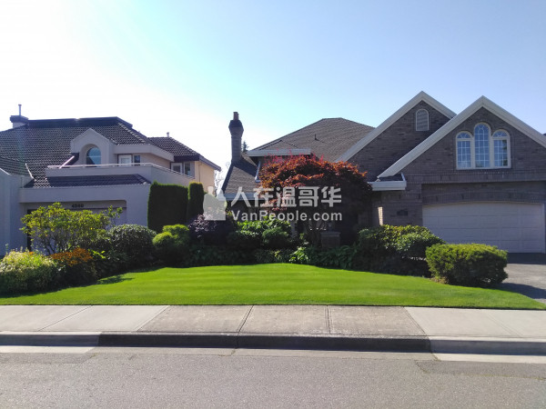 嘉美园艺 铺设各类地砖 修剪花树 专业负责
