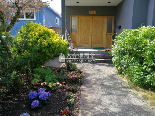 Vancouver W温西近UBC全新带家具一/两间房,招收寄宿女大学生,包水电煤,高速上网
