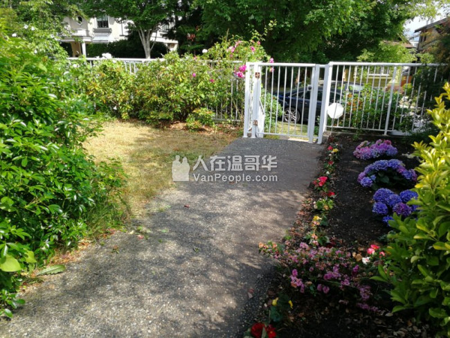 Vancouver W温西近UBC全新带家具一/两间房,招收寄宿女大学生,包水电煤,高速上网