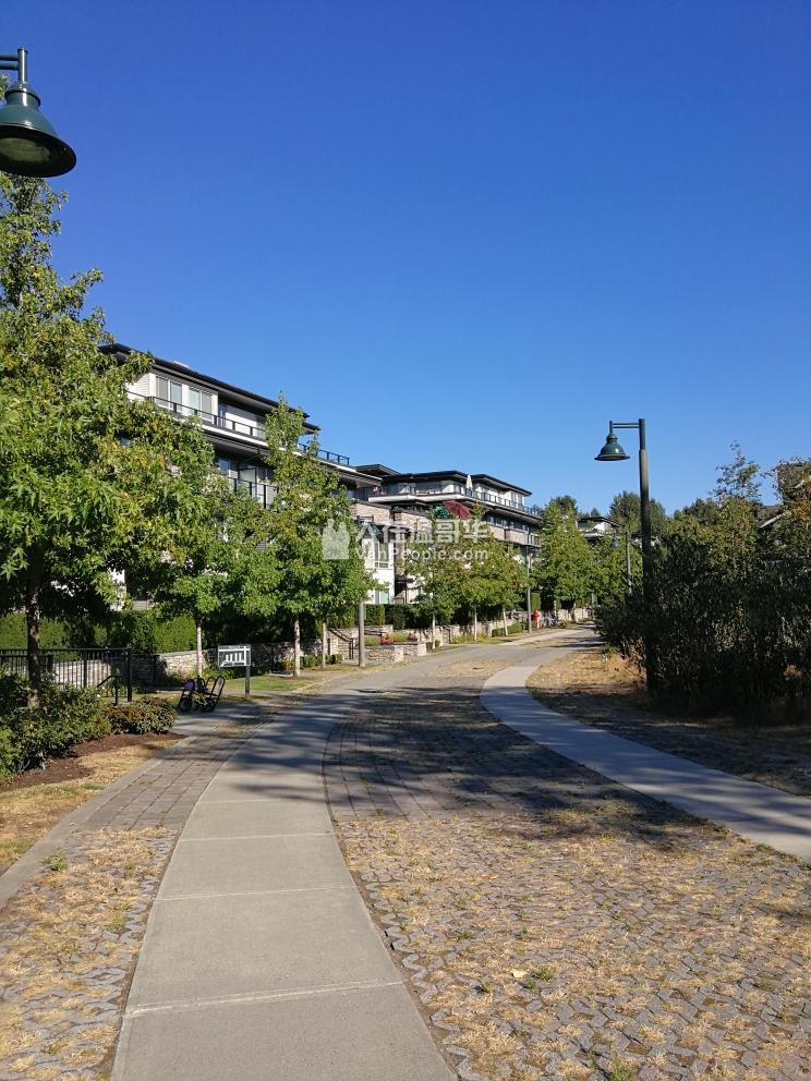 近edmonds station,紧邻Taylor Park小学,2室2位公寓,9月1日起出租