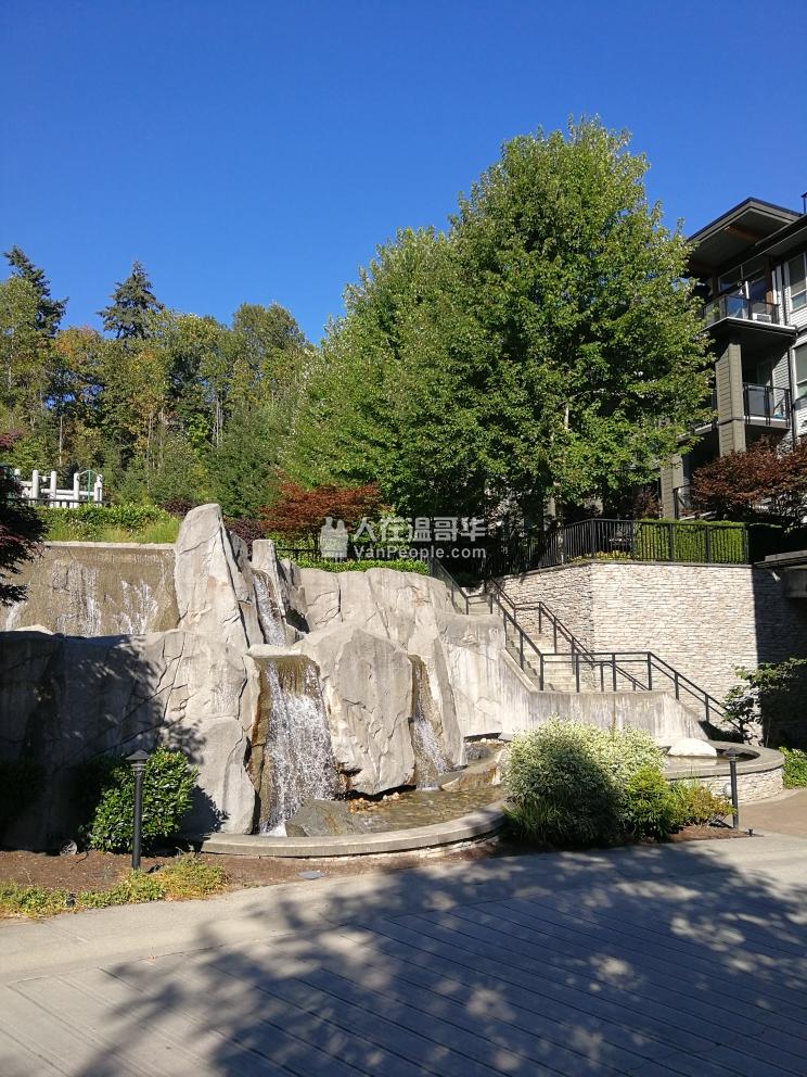 近edmonds station,紧邻Taylor Park小学,2室2位公寓,9月1日起出租