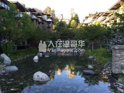 近edmonds station,紧邻Taylor Park小学,2室2位公寓,9月1日起出租