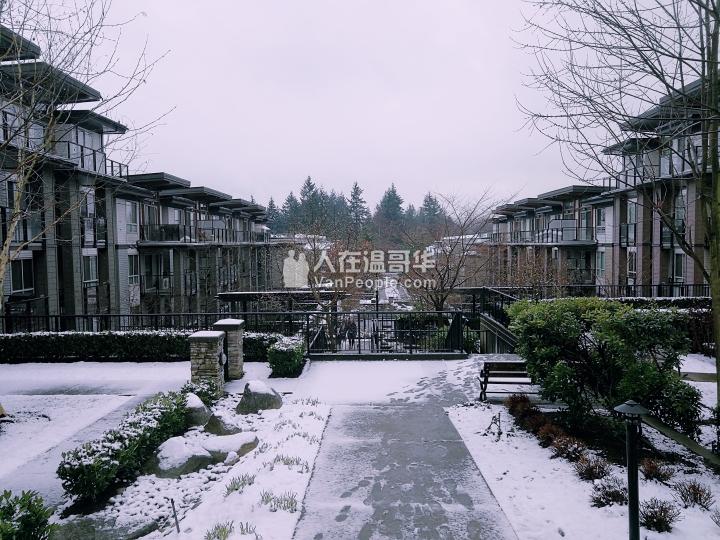 近edmonds station,紧邻Taylor Park小学,2室2位公寓,9月1日起出租