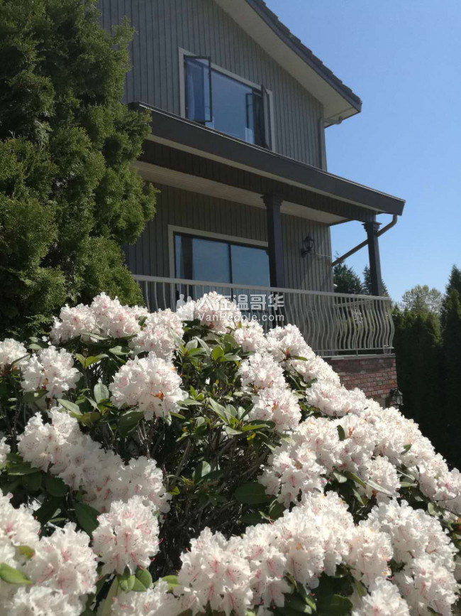 高贵林中心豪华三层精装独立屋,新家具齐全,拎包入住。