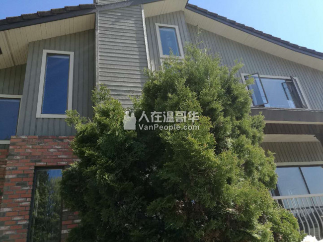 高贵林中心豪华三层精装独立屋,新家具齐全,拎包入住。