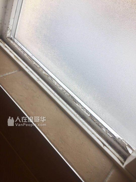 保洁选择馨悦汇,清新喜悦everyday!
