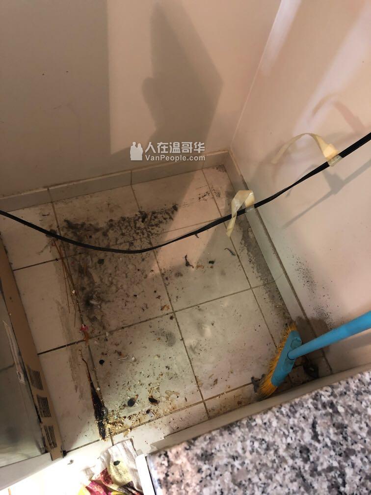 保洁选择馨悦汇,清新喜悦everyday!
