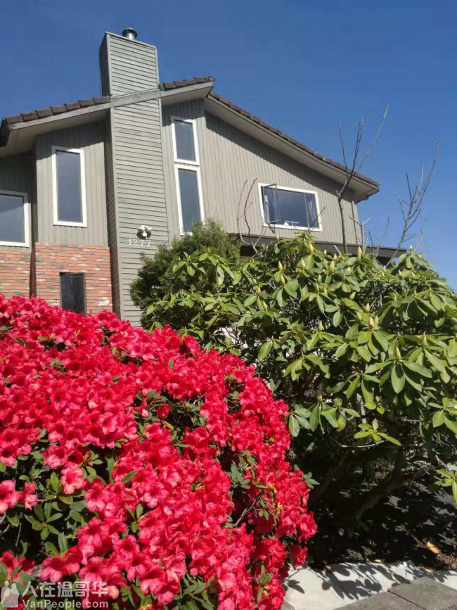 高贵林中心豪华三层精装house出租,新家具齐全,拎包入住。