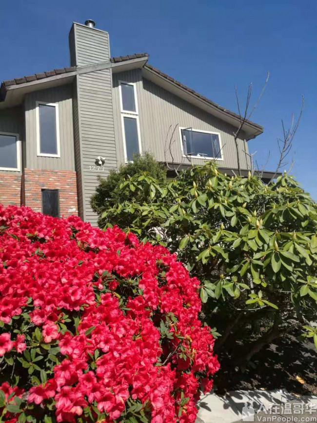 高贵林中心豪华三层精装house出租,新家具齐全,拎包入住。