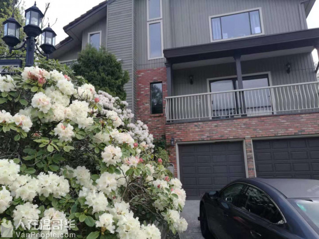 高贵林中心豪华三层精装house出租,新家具齐全,拎包入住。