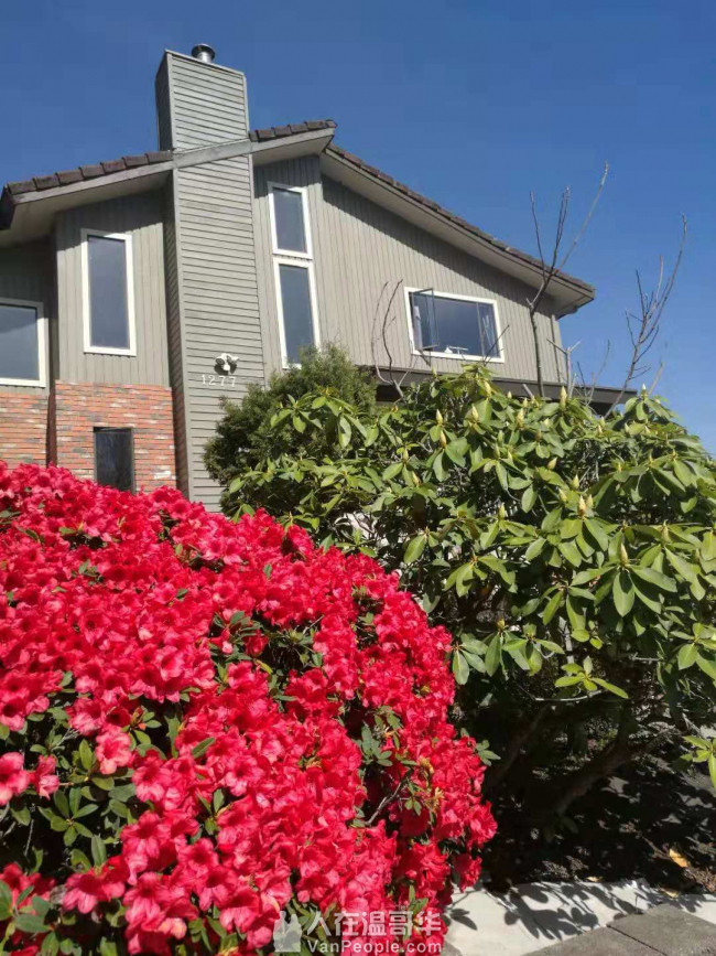 高贵林中心豪华三层精装house出租,新家具齐全,拎包入住。