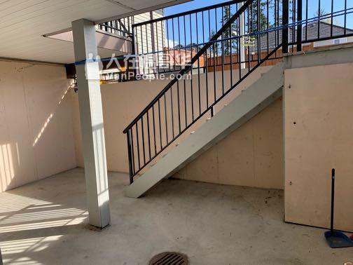 出租surrey fleetwood 两室一厅basement 阳光充足
