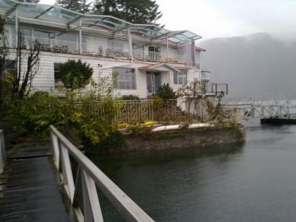 给小浣熊找个新家
