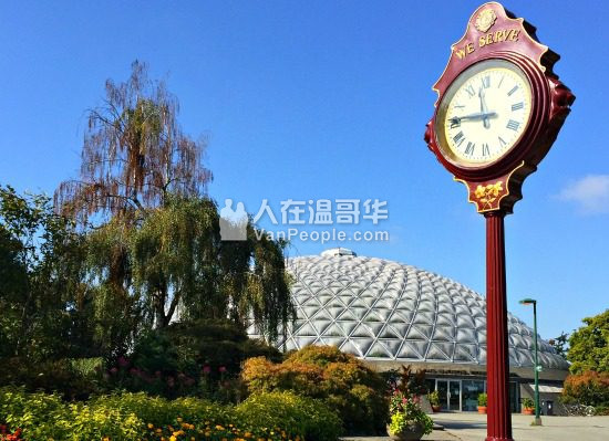 【VVIP楼花团购】Chelsea对着一望无际的雪山景,敞开家门就是伊丽莎白女皇公园一览无遗的绿海,高端品质