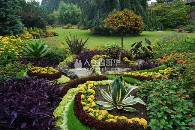 【加西置业楼花团购】 *Coco Oakridge* 温西豪华公寓强势来袭
