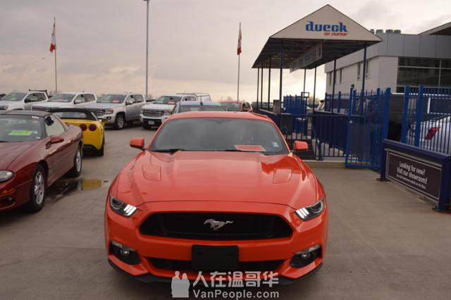 2015 FORD MUSTANG刚刚到货, 4万多公里,5.0 GT