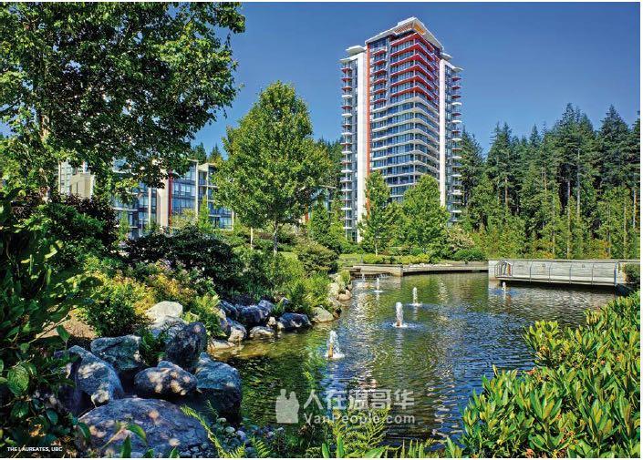 Cedar Walk UBC大学区楼盘,从小学到大学一路名校。天车预通UBC!!