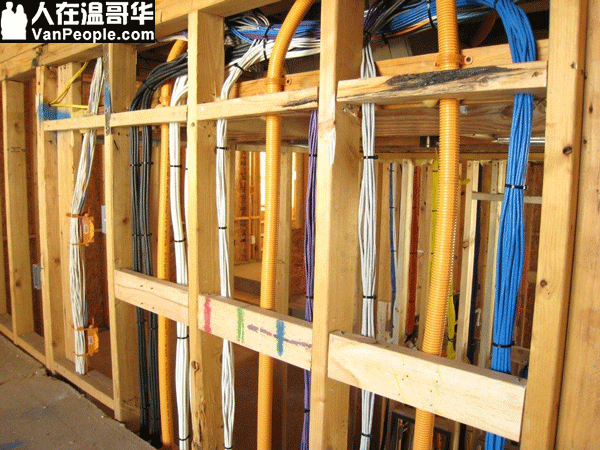 小杨平价安防/服务温哥华/专业摄像头监控/警报门禁/可视对讲/智能灯光门锁/Control4