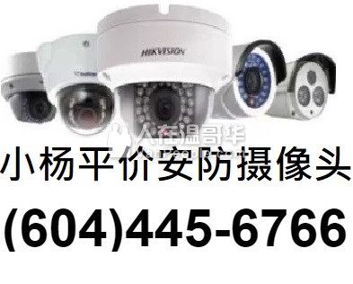 小杨平价安防/服务温哥华/专业摄像头监控/警报门禁/可视对讲/智能灯光门锁/Control4