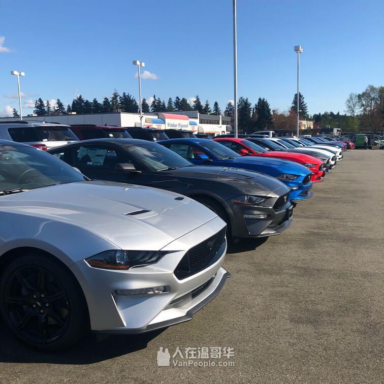 2019 野马GT 0首付 0利息 低月供