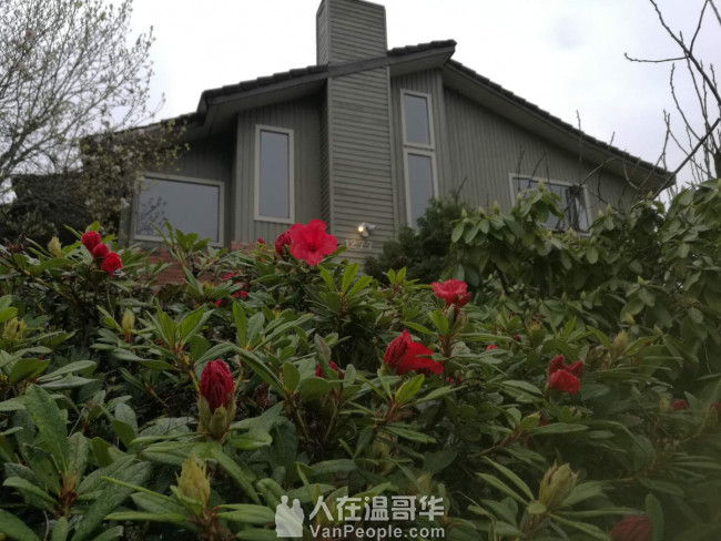 豪华精装,家具齐全,拎包入住。