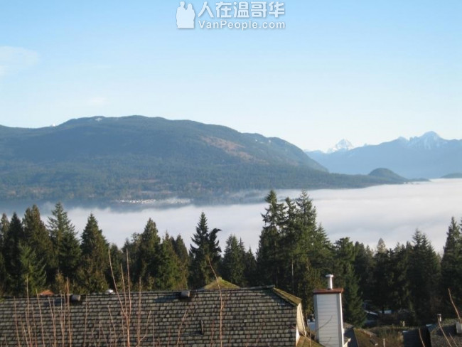 2737 Mara Drive Coquitlam V3C 5L6