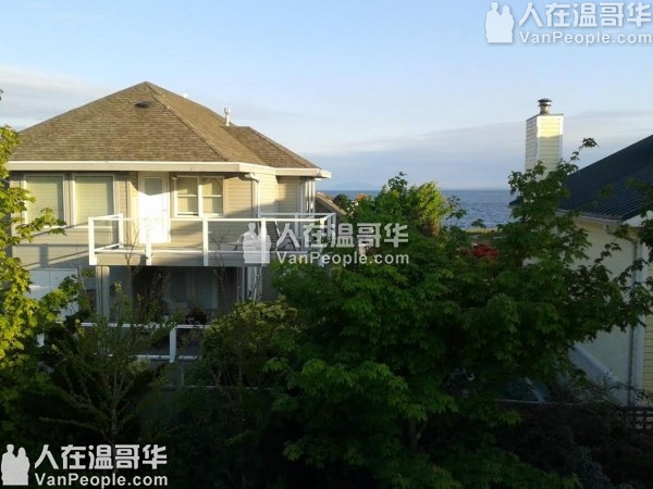 海滨美丽豪华独立屋, 上等材料建筑