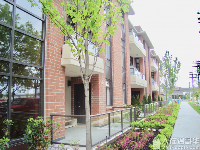 列治文市中心帶好家俱新豪華城市屋單位出租給女專業人士女飛行員学生.
