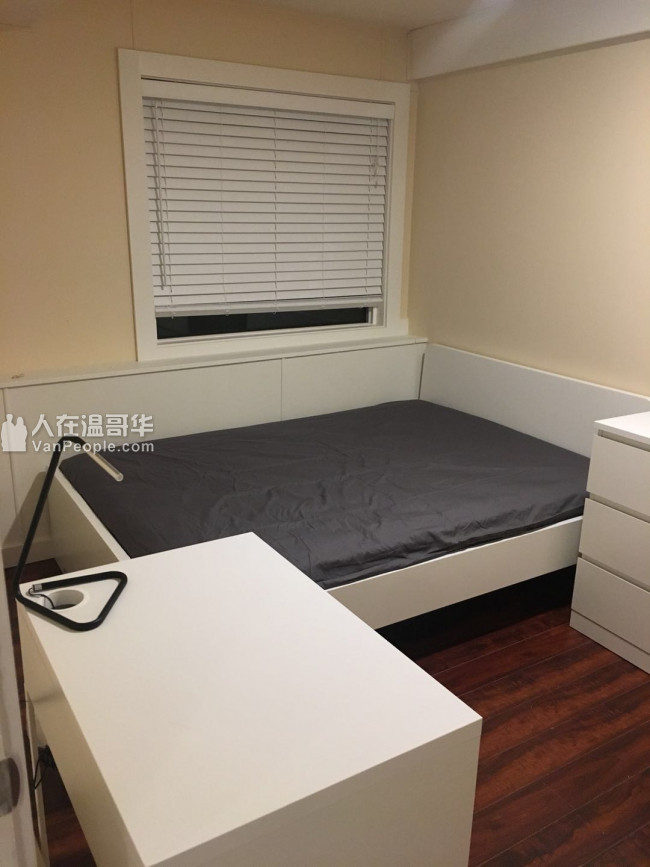 温西41街全新单房出租-近UBC, Downtown,Langara College