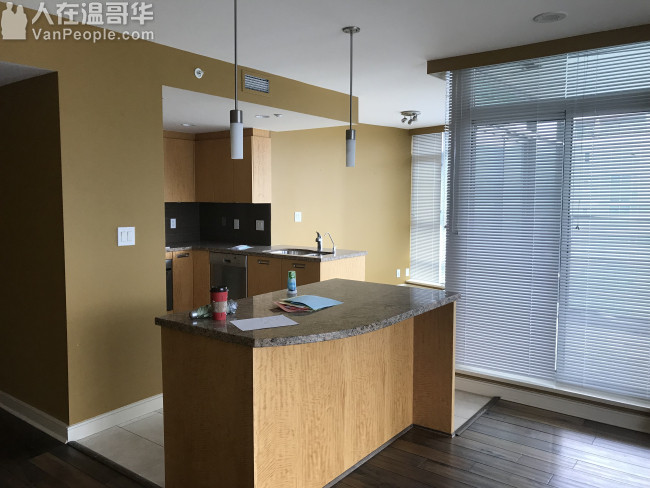 Downtown面海高层豪华2房2卫公寓出租