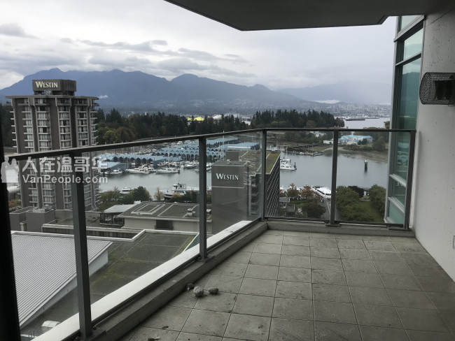 Downtown面海高层豪华2房2卫公寓出租