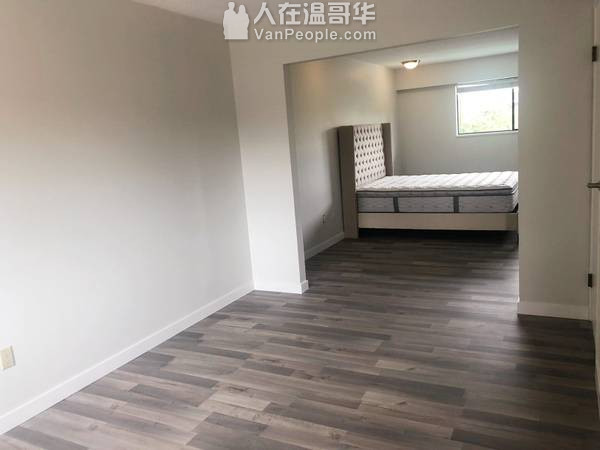 4室装修完的房子出租在列治文Saunders区 - $3300
