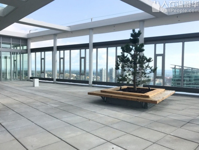 素里市中心全新高樓公寓一房一廳 1500