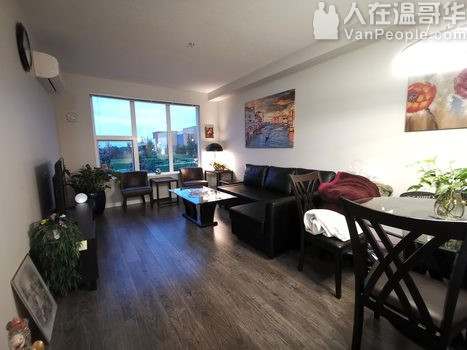 带空调!Richmond近Walmart&Kwantlen列治文-沃尔玛&昆特兰大学附近两房两卫公寓