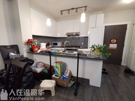 带空调!Richmond近Walmart&Kwantlen列治文-沃尔玛&昆特兰大学附近两房两卫公寓