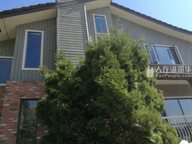 高贵林中心西侧,学区房。三层精装独立屋,新家具齐全,拎包入住。