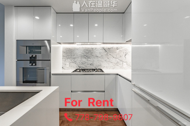 温西全新1房加书房豪华公寓即日起租