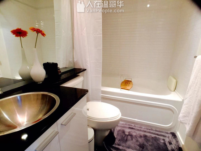 市中心Downtown高级女生公寓超大客卧 和阳光den分租 交通灰常便利 价格便宜全包~~