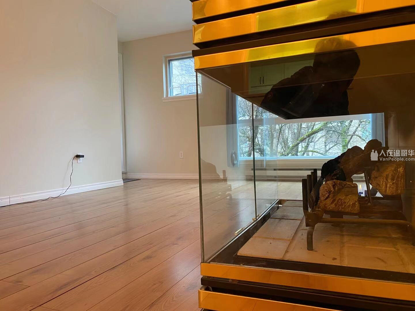 2815 Yew St. Vancouver 温哥华西区,Kitsilano,高级公寓,两室两卫,近dt,公车直达ubc