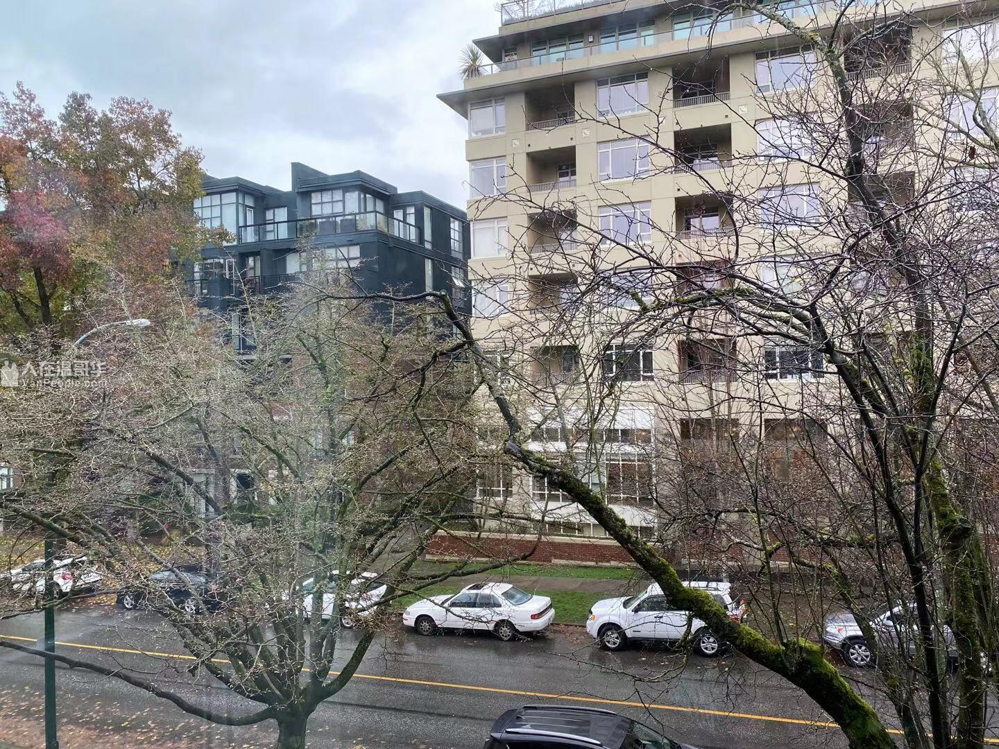 2815 Yew St. Vancouver 温哥华西区,Kitsilano,高级公寓,两室两卫,近dt,公车直达ubc