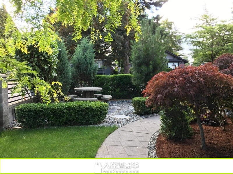 独立出入套房温哥华西区别墅15分钟车程UBC步行7-8分钟华人超市步行9分钟图书馆步行9分钟到Save on foods