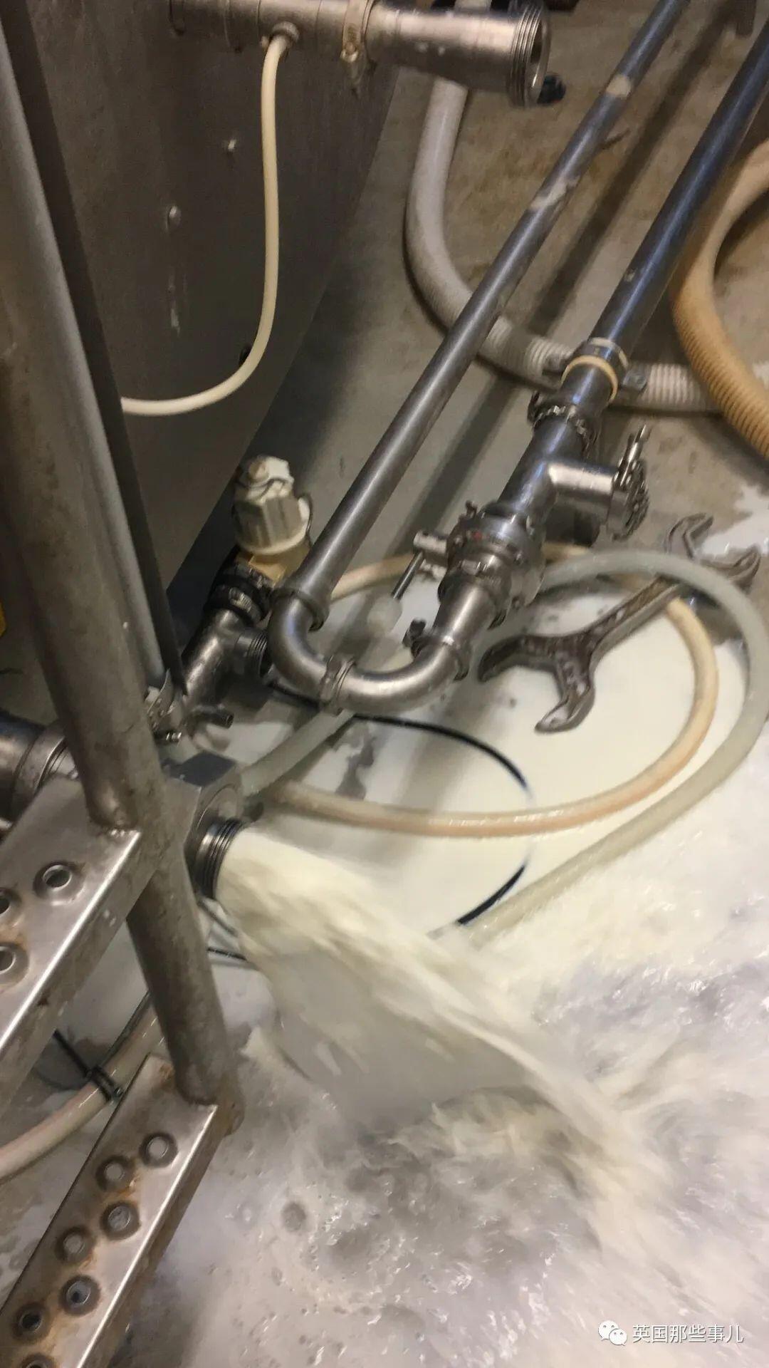 疫情萧条，全世界奶农开始疯狂倒牛奶，英国一天倒掉150万升！ - 人在温哥华网VanPeople.com