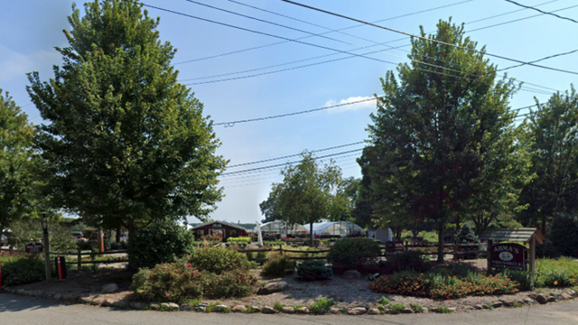 迷惑 美国青少年夜闯农庄给马涂口红 人在洛杉矶网lapeople Com