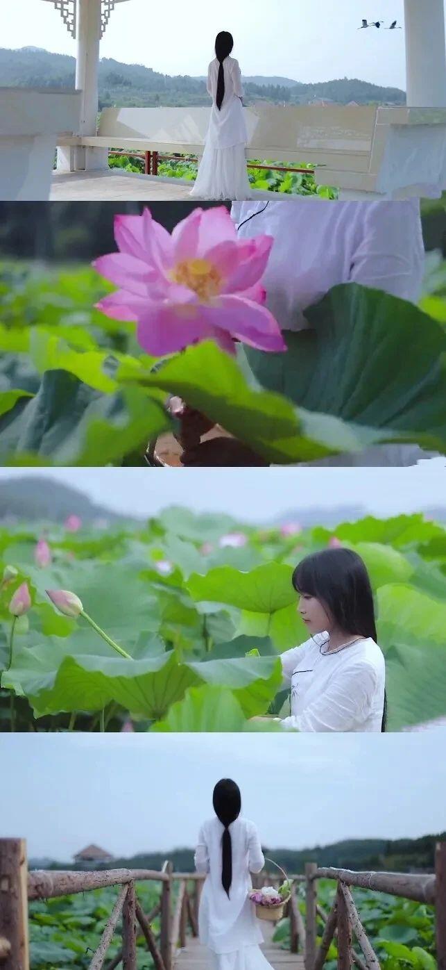 李子柒 隐居 10年的神仙地方 终于公开了 人在洛杉矶网lapeople Com