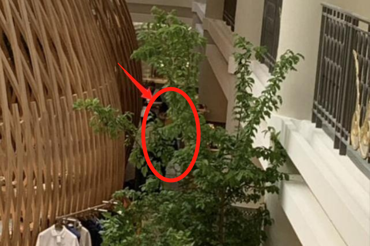 巩俐带爱宠现身巴黎奢侈品店 粉丝要求合影被拒绝 人在洛杉矶网lapeople Com 巩俐带爱宠现身巴黎奢侈品店 粉丝要求合影被拒绝 人在洛杉矶网lapeople Com