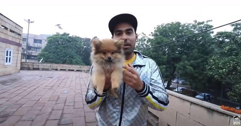 怒 博美犬遭绑气球升空惊恐狂吠网红被炮轰道歉竟这样说 人在洛杉矶网lapeople Com