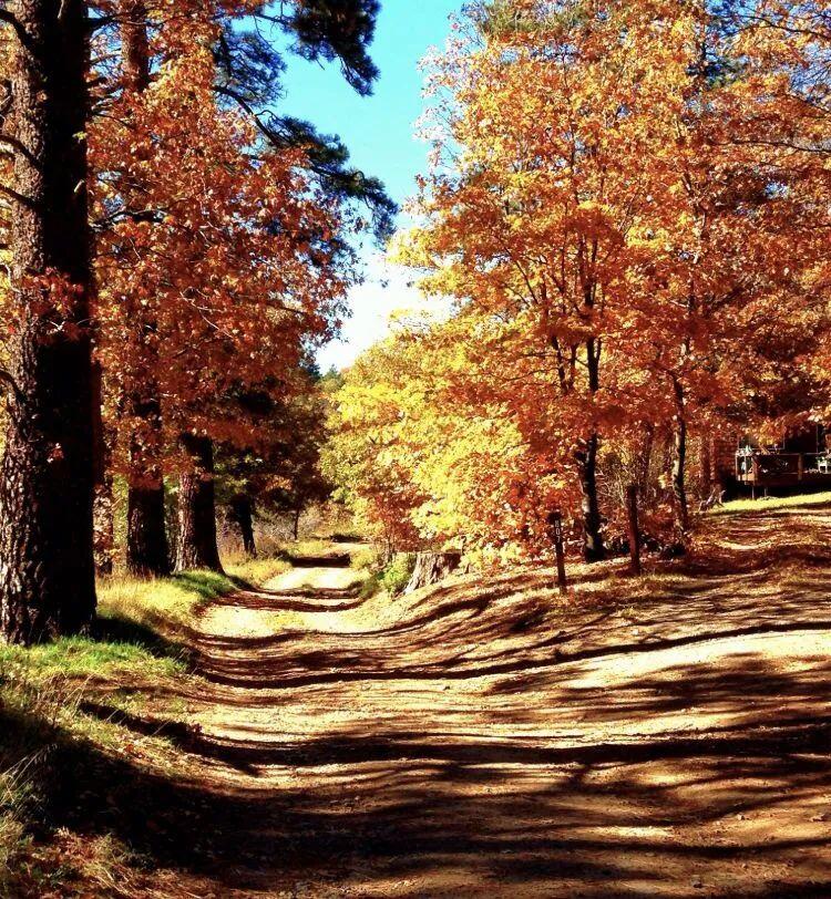 要一起踩枫叶吗 南加8个看枫叶的圣地点 喊上朋友一起去感受秋天的美好吧 人在洛杉矶网lapeople Com