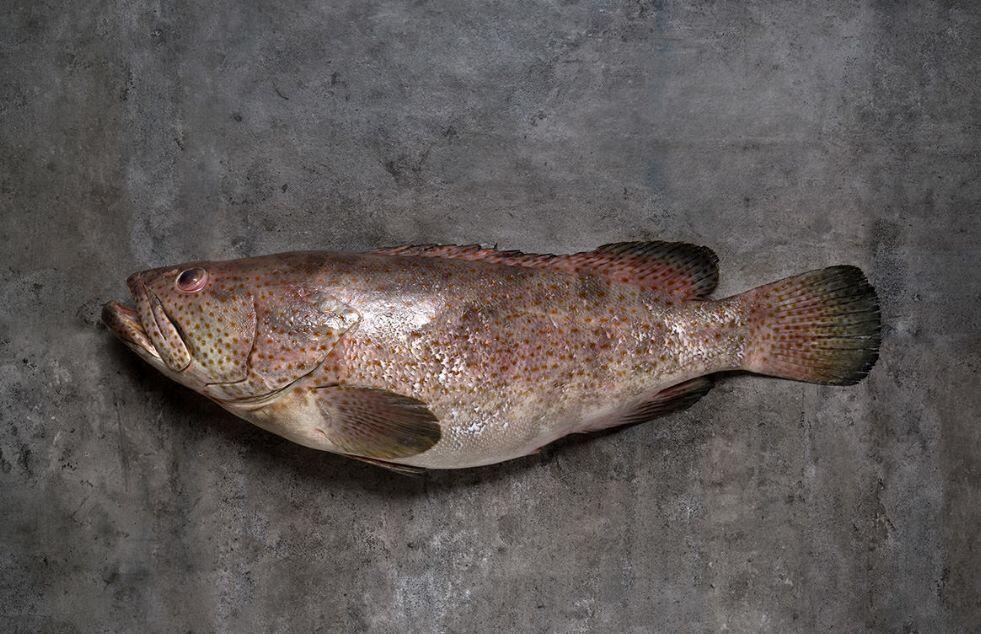 不瞒你说 来美国这么久了 我依然 不会 在美国超市买这种食物 人在洛杉矶网lapeople Com